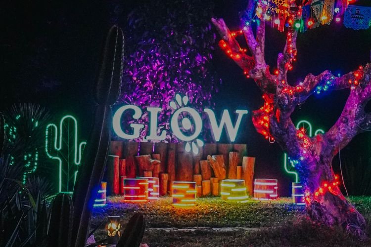 Walikota Bogor Minta Wisata Glow Kebun Raya Bogor Dihentikan