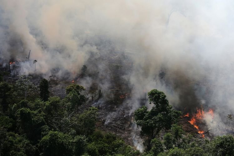 Prancis Dilanda Kebakaran Hutan, Sebagian Situs Warisan Unesco