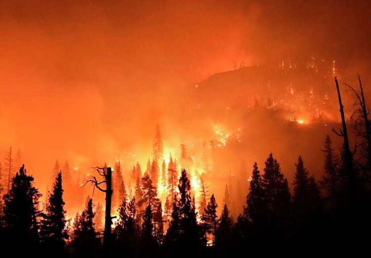 Hutan California Kebakaran Saat AS Dilanda Gelombang Panas