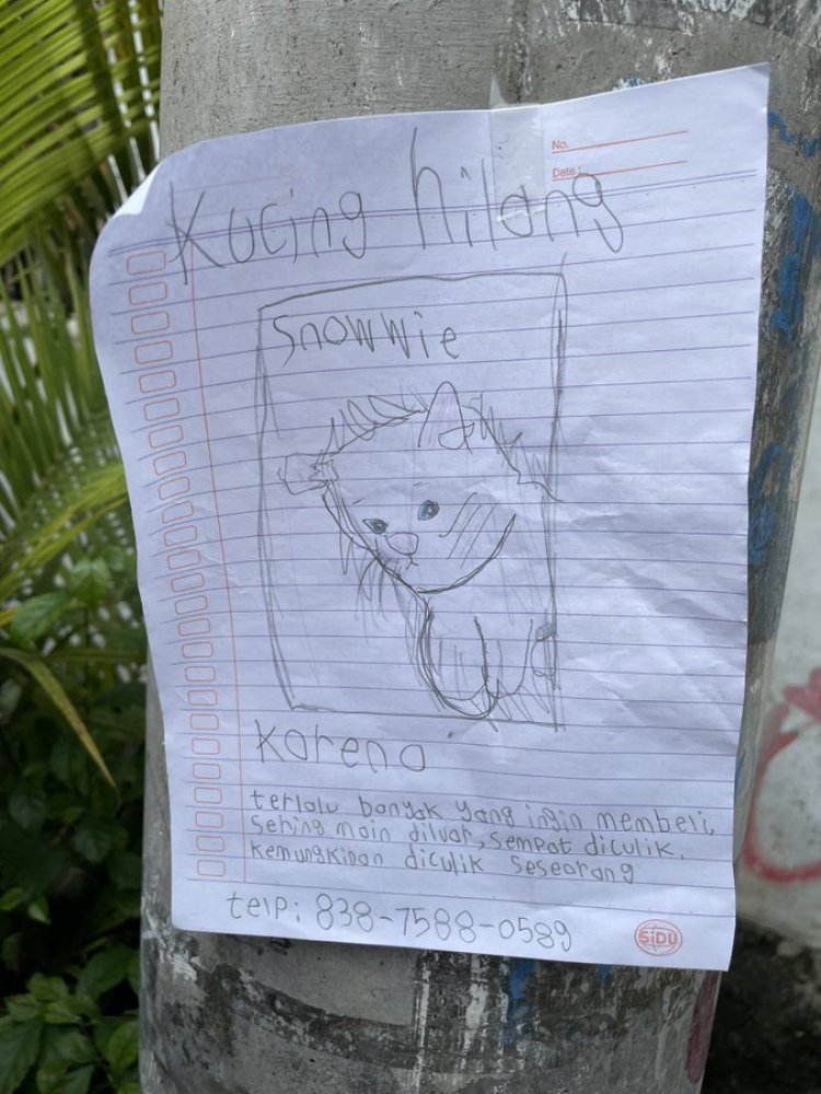 Anak Kecil Mencari Kucing Kesayangan, Netizen Terharu Dengan Isi Pamflet