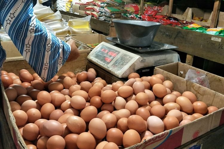 Harga Telur Ayam Tembus Rp 31 Ribu Per Kg, Kemendag Ungkap Alasannya