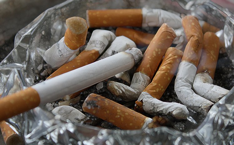 Bea Cukai Prediksi Peredaran Rokok Ilegal Meningkat Bila Cukai Rokok Naik