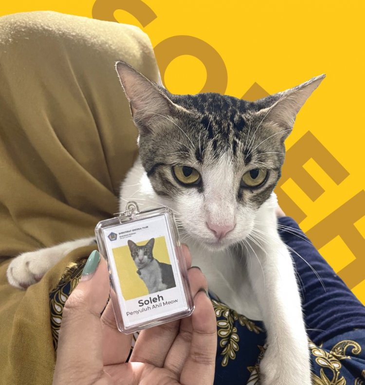 Ditjen Pajak Kenalkan Soleh, Kucing Yang Jadi Pegawai Di Kantor Pajak Serpong
