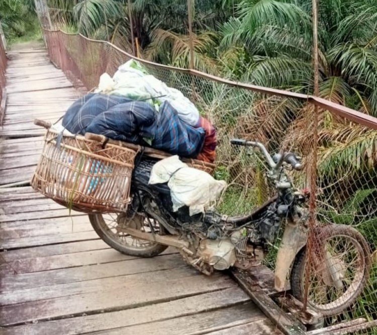 Jembatan Rambin Desa Rondaman Hampir Merenggut Nyawa Warga Usai Lantai Papan Keropos
