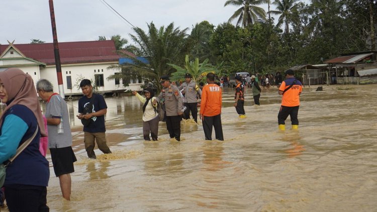 Permukiman di Dekat IKN Terendam Banjir, 1,5 Hektar Sawah Milik Warga Terendam!