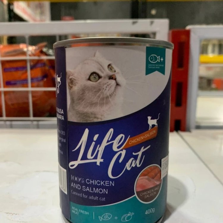 Life Cat 100 Chicken and Salmon