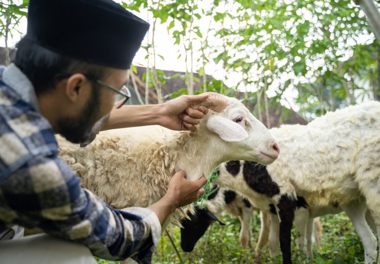 10 Tradisi Idul Adha di Indonesia yang Unik!