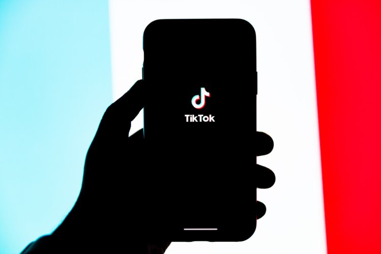 SnapTik: Download Video TikTok Gratis Tanpa Aplikasi