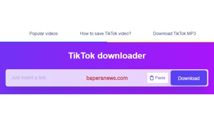 SSS TikTok Downloader