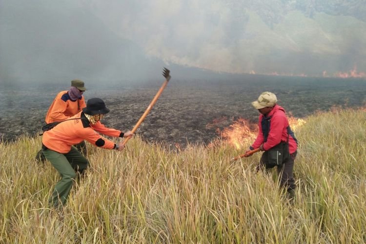 Ulah Prewedding, Kebakaran Gunung Bromo Merembet ke Kawasan Desa Ngadas