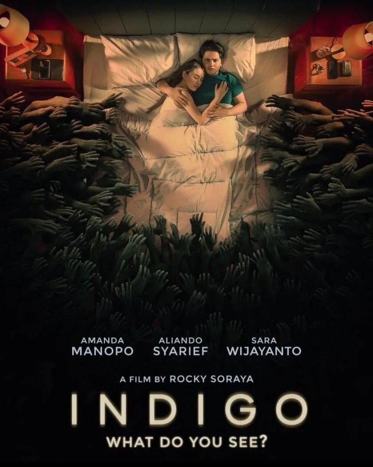 Indigo: What Do Yo See