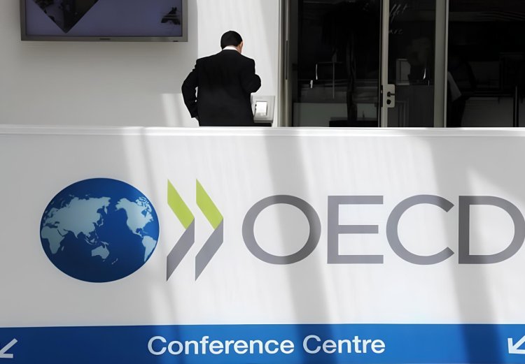 Indonesia Bakal Gabung OECD, Ini Keuntungannya!