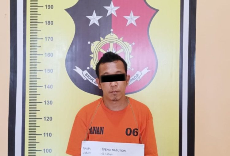 Diduga Pakai Sabu, Unit Reskrim Polsek Padang Bolak Tangkap Pelaku