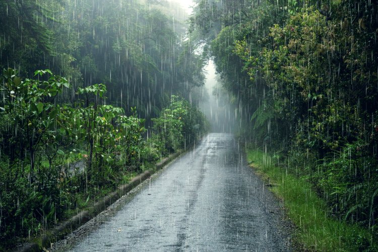 Memasuki Musim Hujan, Pemkab Bogor Petakan Daerah Rawan Longsor