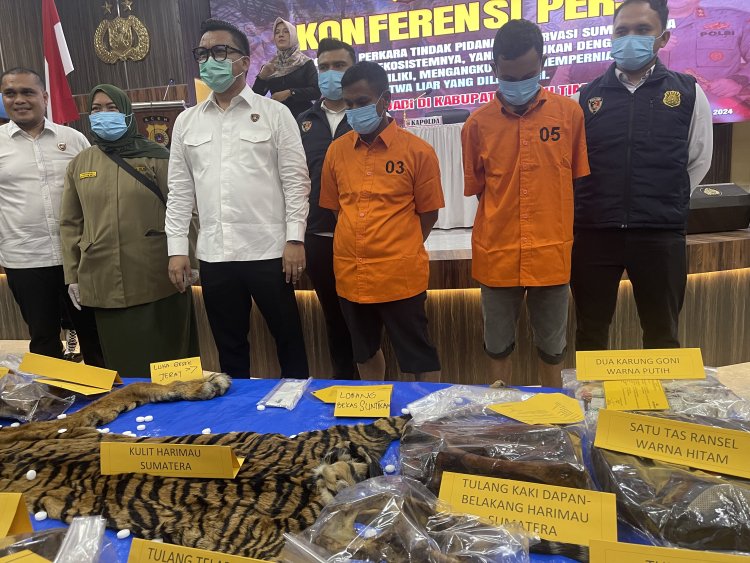 Perdagangan Kulit Harimau di Aceh Timur: Oknum PNS Diduga Terlibat