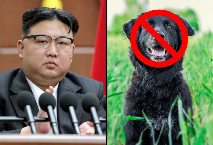 Korea Utara Larang Warganya Pelihara Anjing, Kecuali untuk Dimakan