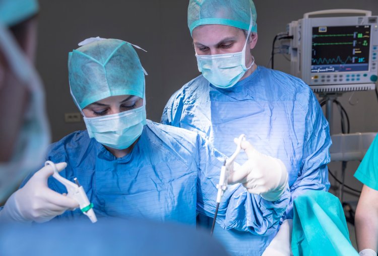 RS Massachusetts Jadi yang Pertama di Dunia Berhasil Transplantasi Ginjal Babi Pada Manusia