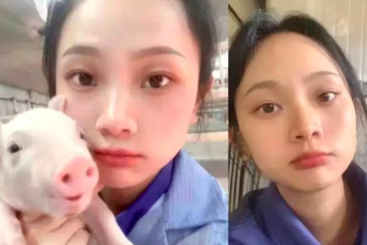 Wanita di China Keluar dari PNS untuk Jadi Peternak Babi
